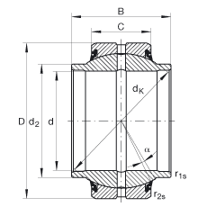 PS GE20-HO-2RS,  DIN ISO 12 240-1 ˜, Soɂȴܷ